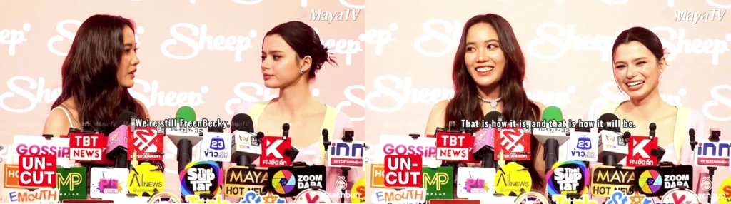 Amores e Amores: toxicidade no fandom FreenBecky e os limites entre amor e posse